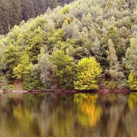 Dependance Am Rursee * Heimbach